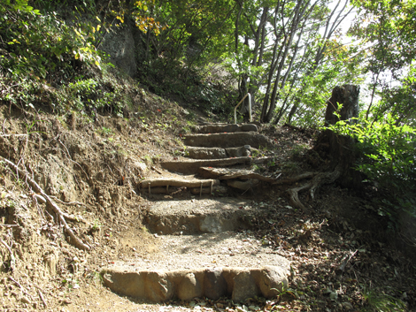 20151006hike (59)